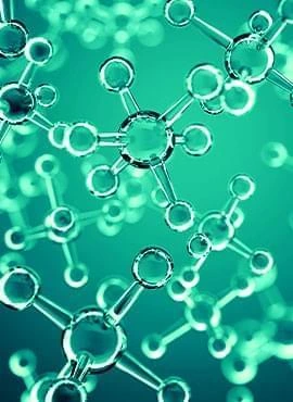 Abstract illustration accompanying Echinacea